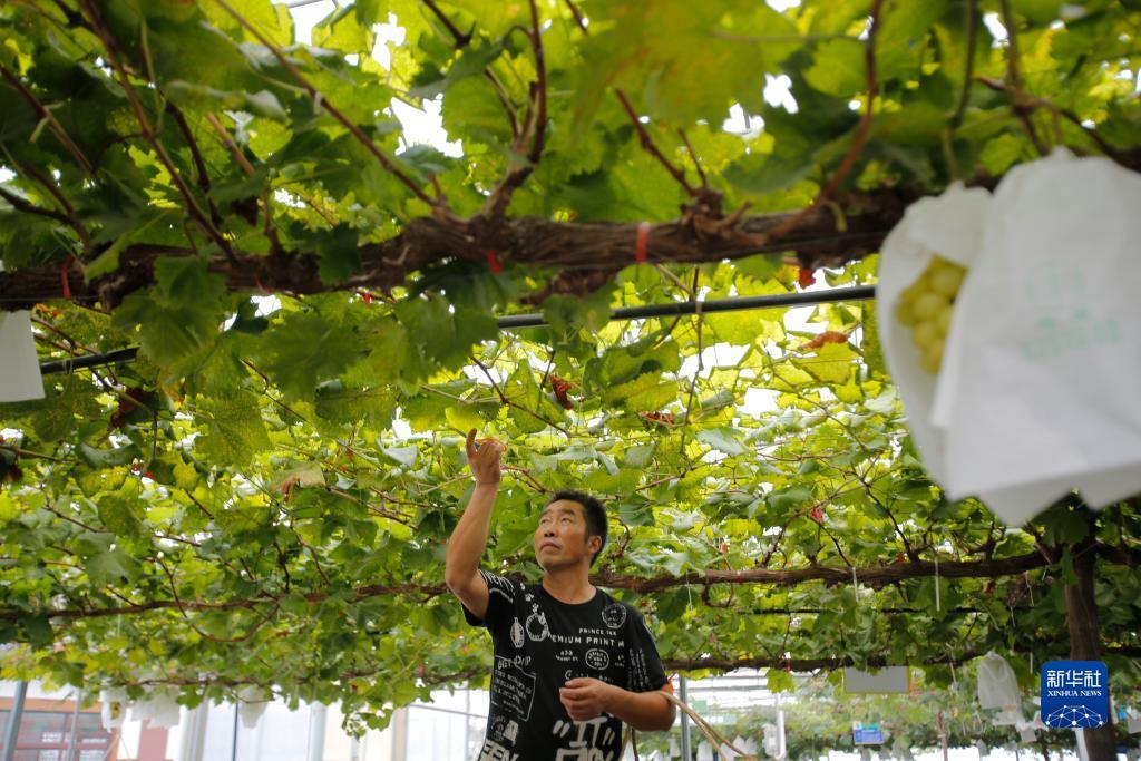 牛牛游戏正版下载